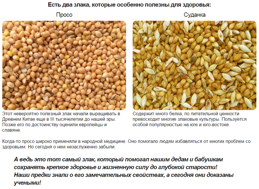 чем полезны злаки. цельные крупы. злаки полезно. зерновые культуры семейства злаковых. роль злаковых в природе.