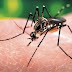 Dos niñas han muerto en 48 horas por posible dengue en el Robert Reid