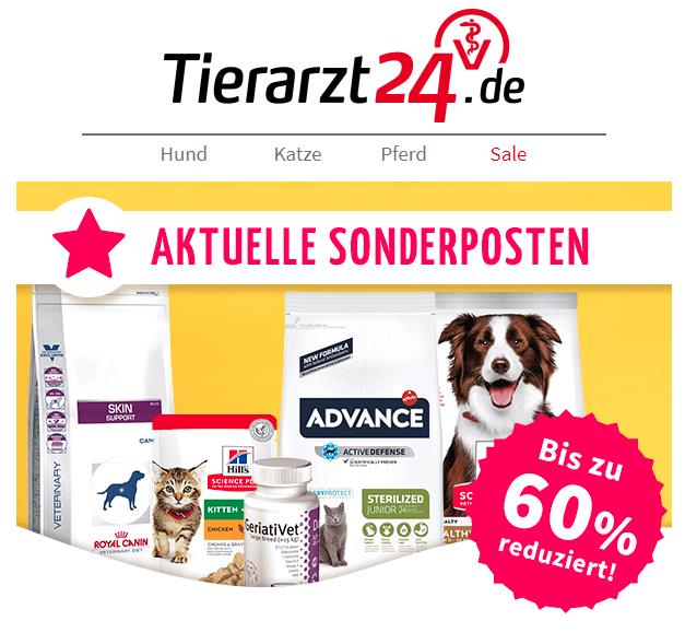 Kleine Hunde Grosse Pferde Ein Nachbarschaftsbesuch Heimgemacht