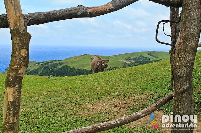 Things To in Batanes