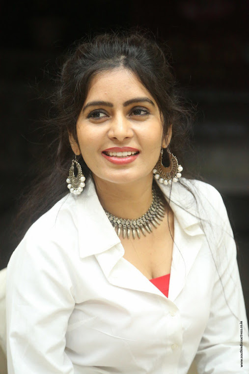 Madhumitha Krishna at Kaluva Ugadi Calendar Launch
