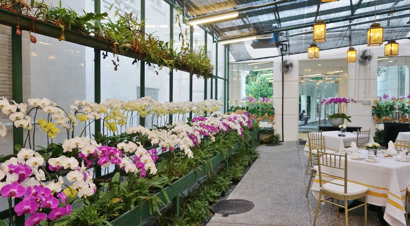 LOVE LIFE, CHERISH MOMENTS Exclusive English Afternoon Tea The