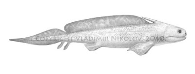 carboniferous fish