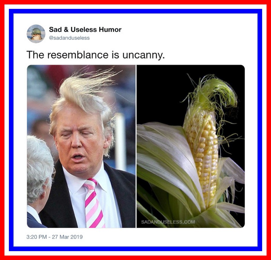 Acerbic Politics: Funny Trump Tweets