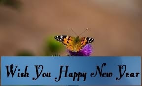 Images for Happy New Year Images for Happy New Year: