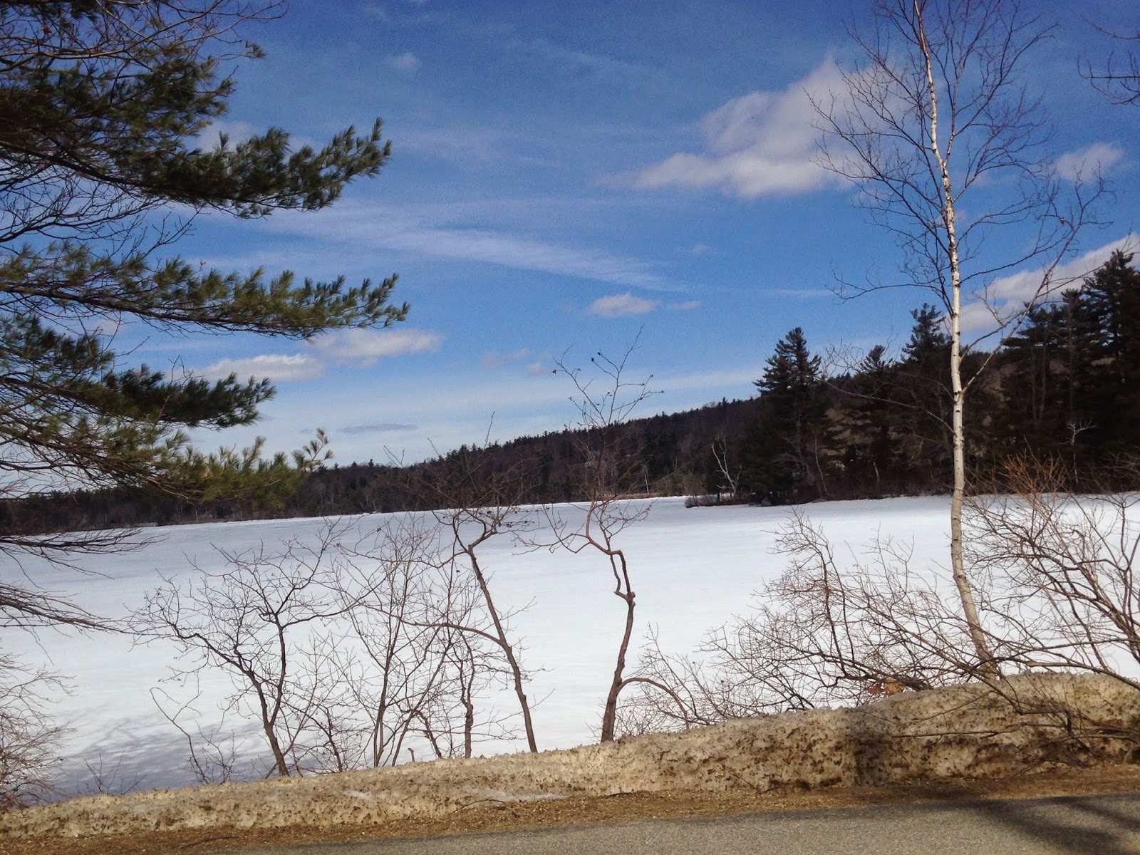 Christopher Volpe's Art Blog Tracking Abbott Thayer's Monadnock