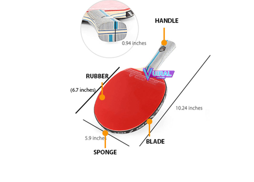 Gambar Dan Ukuran Lapangan Tenis Meja (Pingpong) Beserta Keterangannya