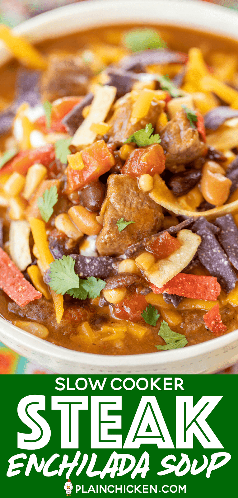 Slow Cooker Steak Enchilada Soup Plain Chicken®