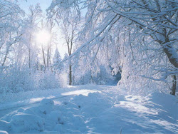 winter snow wallpapers forest sunrise night mobile hd landscape witner snowy scenery pretty backgrounds scenes desktop scene snowfall christmas nature