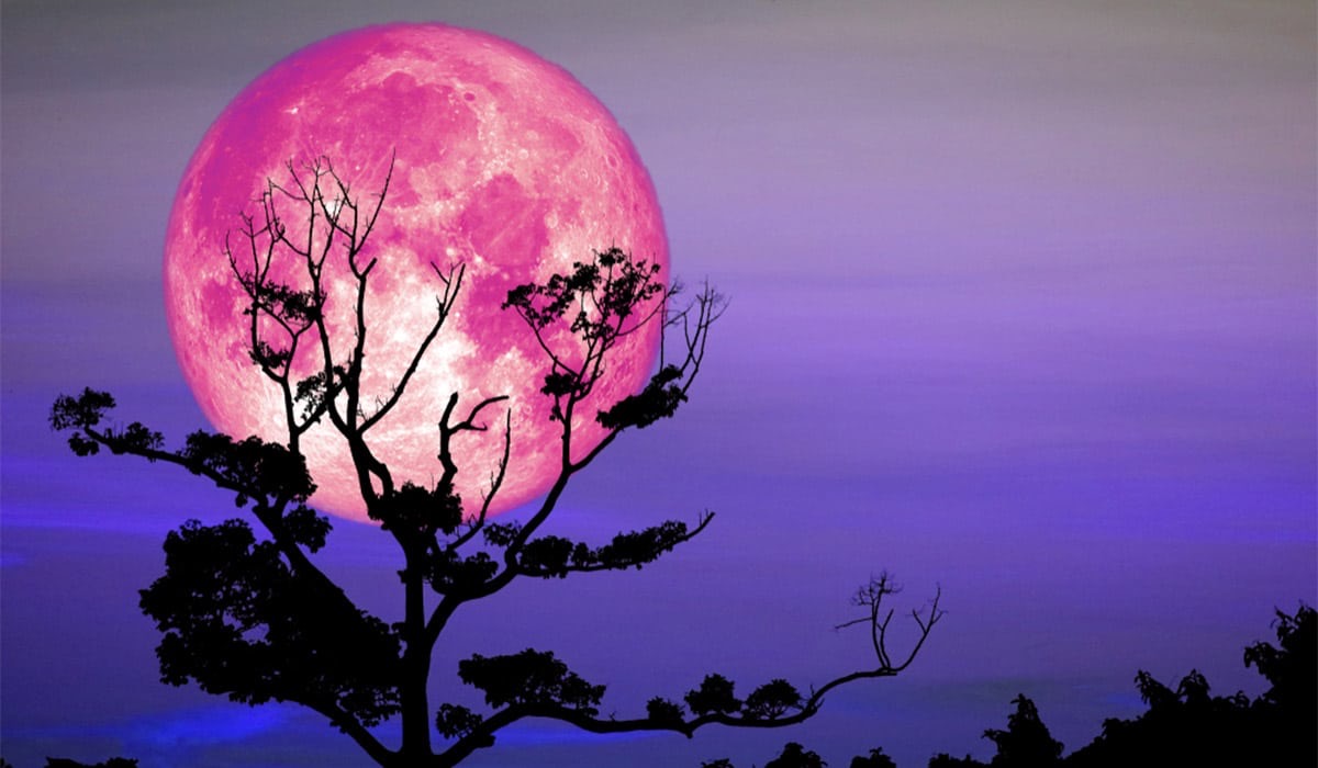 Pink Full Moon, Prayer and Meditation Saludable Latina