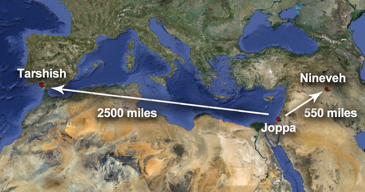 How to interpret circumstances, lessons from Jonah and David