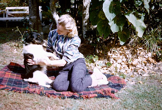 Seat and 'native patch' the lookout is behind Mum's head Seat and 'native patch' the lookout is behind Mum's head