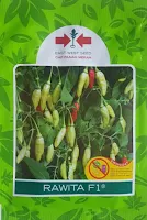 cara memeprcepat pertumbuhan bibit cabe, cabai Rawita f1, benih cap panah merah, cara menanam cabe, jual benih cabai, toko pertanian, toko online, lmga agro