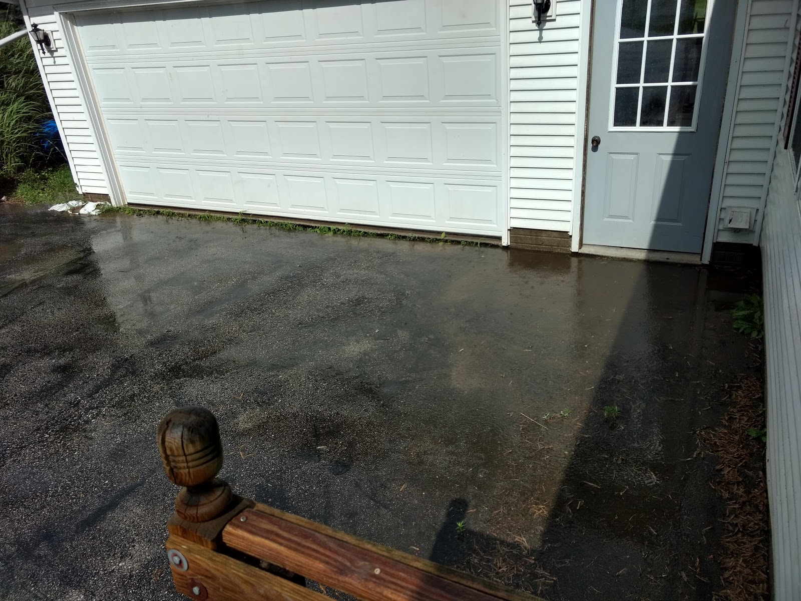 Bonnie Blog You 2019 12 01