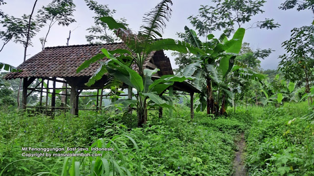 Pendakian Gunung Penanggungan via Kedungudi