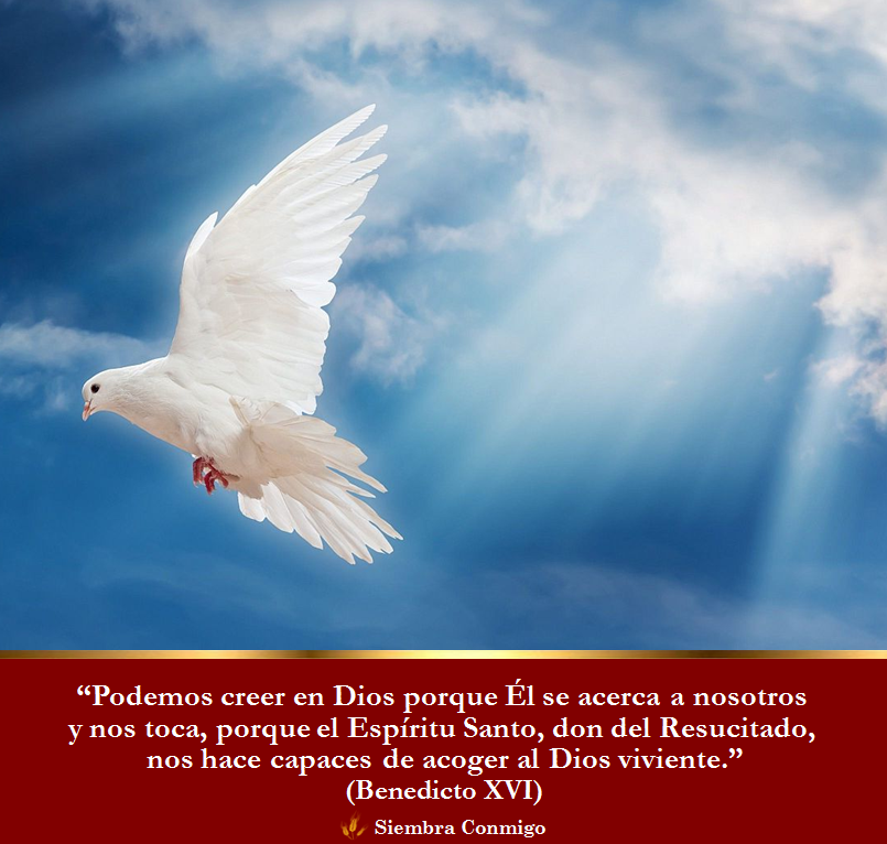 Imagen 129+ imagen imagenes del espiritu santo con frases Thptletrongtan.edu.vn Imagen 129+ imagen imagenes del espiritu santo con frases Thptletrongtan.edu.vn