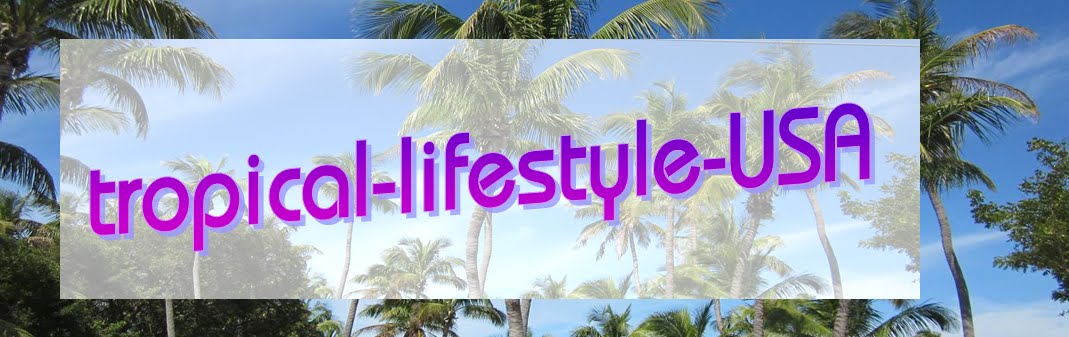 tropical-lifestyle-USA