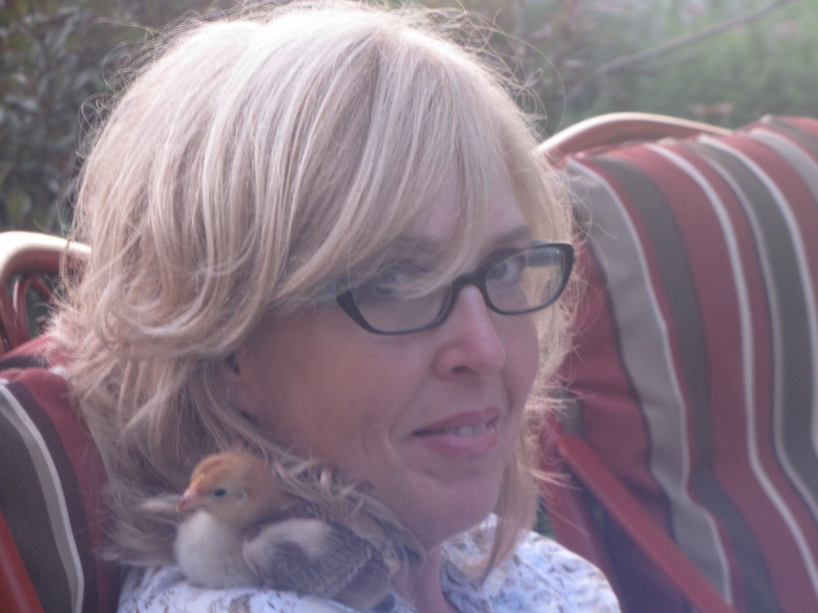 Tales from the Coop Keeper Mother Nature