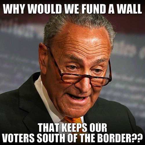 chuck-schumer-why-would-we-fund-a-wall-that-keeps-our-voters-south-of-the-border.jpg