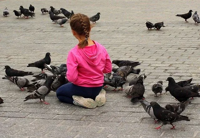 Pigeon , little Girl