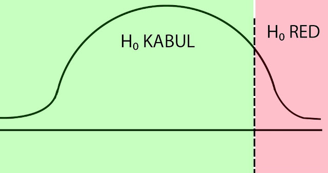 HİPOTEZ TESTLERİNDE TEK KUYRUK VE ÇİFT KUYRUK BELİRLEME HİPOTEZ TESTLERİNDE TEK KUYRUK VE ÇİFT KUYRUK BELİRLEME