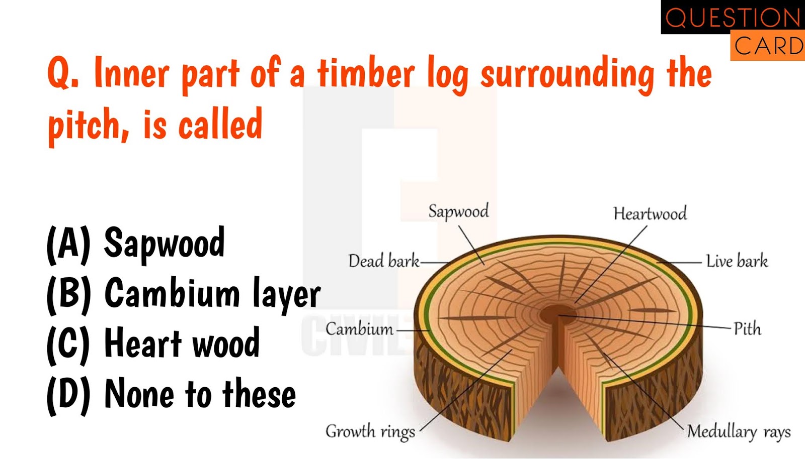 Inner part of a timber log surrounding the pitch, is called