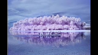 Το νησί της αχρωματοψίας