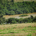 Caminhada Salto Fogueira - Borrazópolis