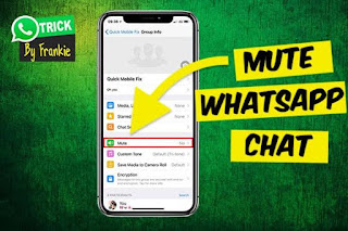 Mute a chat or group chat in whatsapp