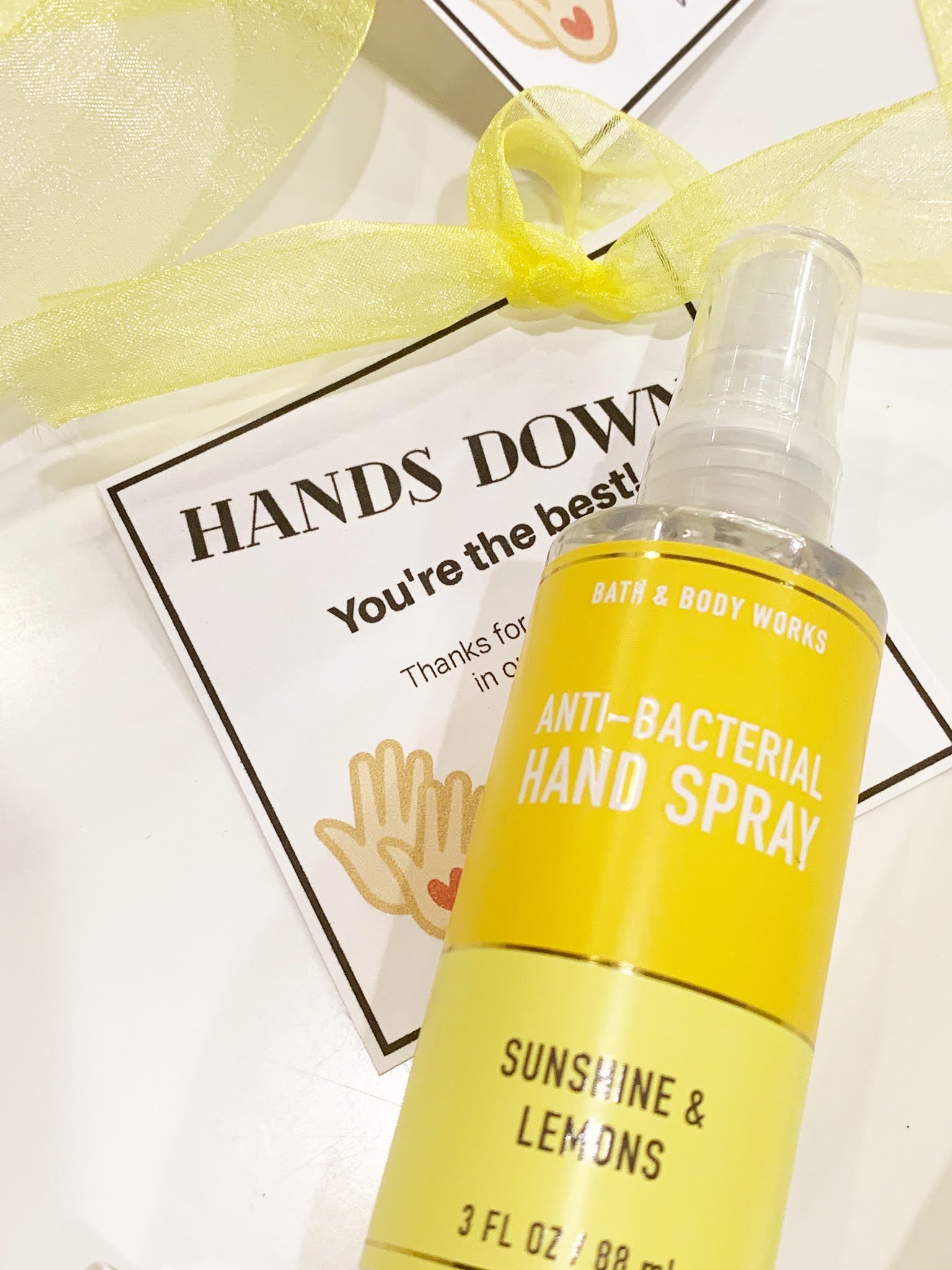 michelle paige blogs Hand Sanitizer Gift Hands Down You're the Best!