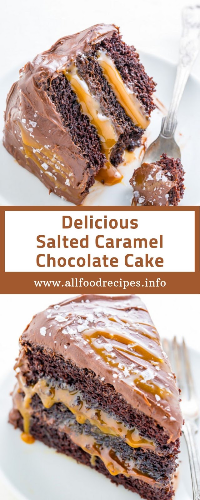 Delicious Salted Caramel Chocolate Cake