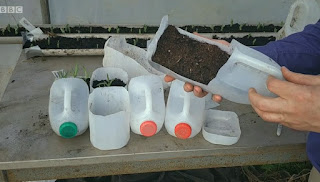 Milk bottles for seed planters 