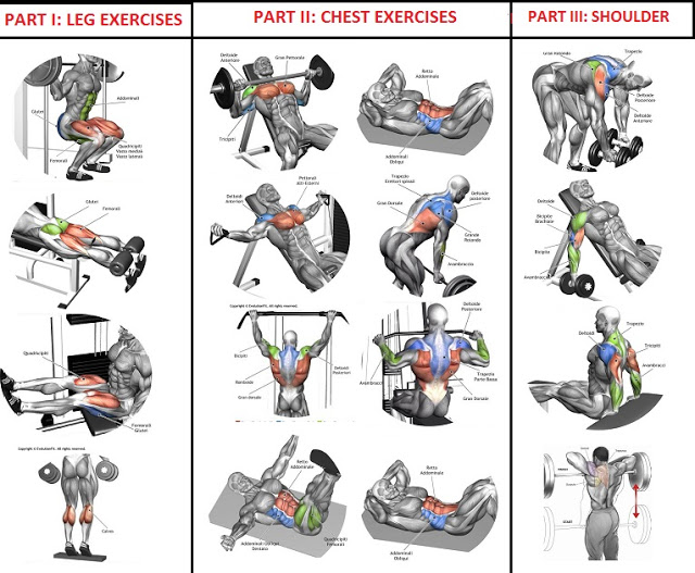 10 Sets of 10 Reps Workout Program For Muscle Building 10 Sets of 10 Reps Workout Program For Muscle Building