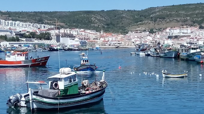 LOTA DE SESIMBRA É A MAIS IMPORTANTE DO PAÍS!