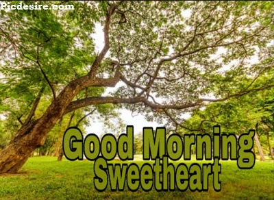 Good Morning Sweetheart, Best 20 Images of Good morning Sweetheart Good Morning Sweetheart, Best 20 Images of Good morning Sweetheart