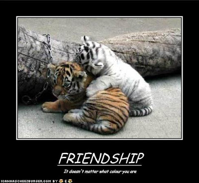 Happy Friendship Day Funny Images 2017 And Friendship Day Funny Quotes With Images For Funny Friends Happy Friendship Day Funny Images 2017 And Friendship Day Funny Quotes With Images For Funny Friends