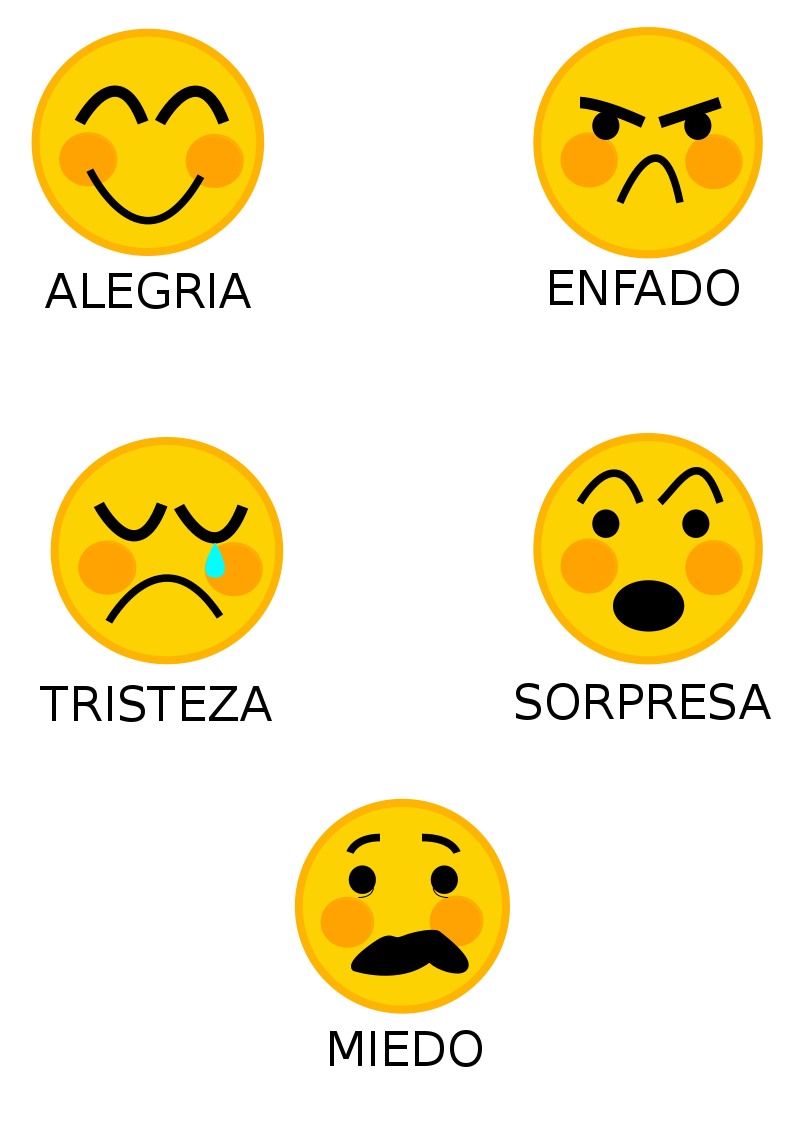 Mi Laboratorio De Palabras Las 5 Emociones Básicas