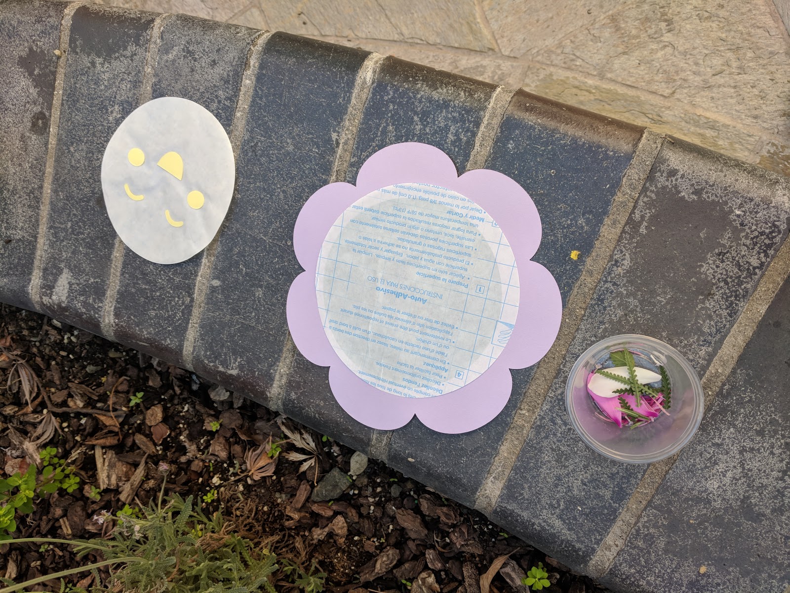 Cricut Suncatcher Preschool Craft