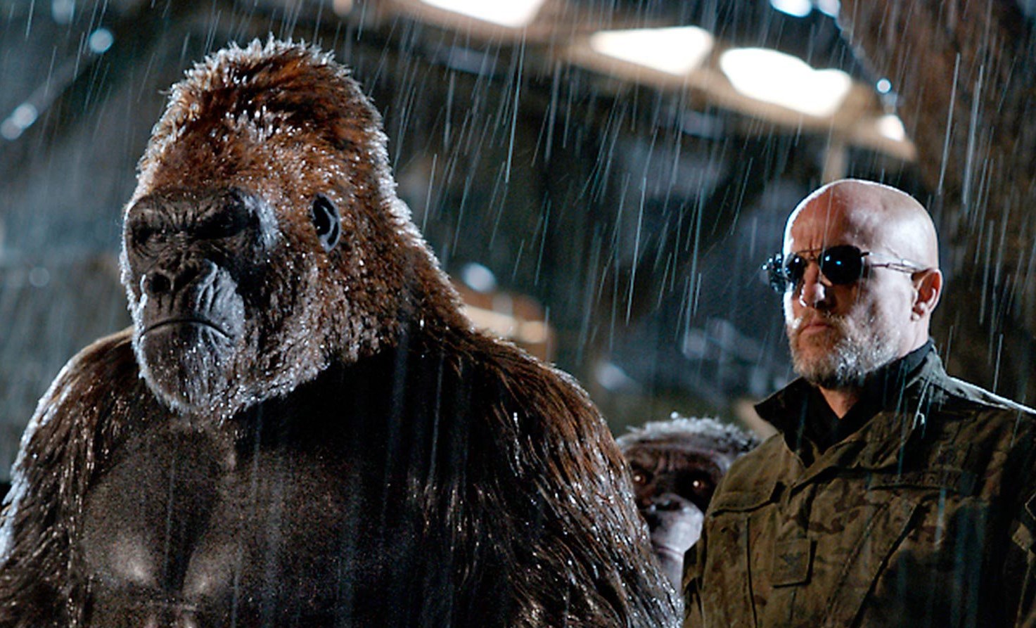 планета обезьян последний рубеж игра. планета обезьян плохая обезьяна. планета обезьян последняя. Planet of the apes: last frontier игра. планета обезьян последняя.