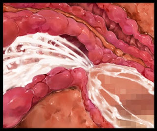 [CG] Welcome to Pussy Paradise