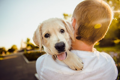 Cute Images And Wallpaper Cute Images And Wallpaper