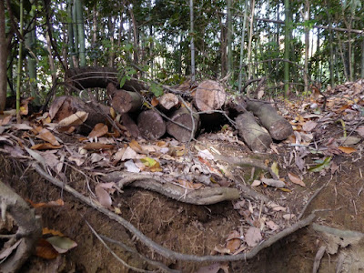 獅子窟寺ハイキング