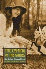 O MELHOR ROMANCE SOBRE FADAS