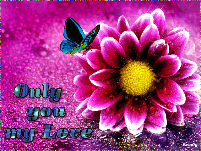 Only%2BYou%2BMy%2BLove.gif