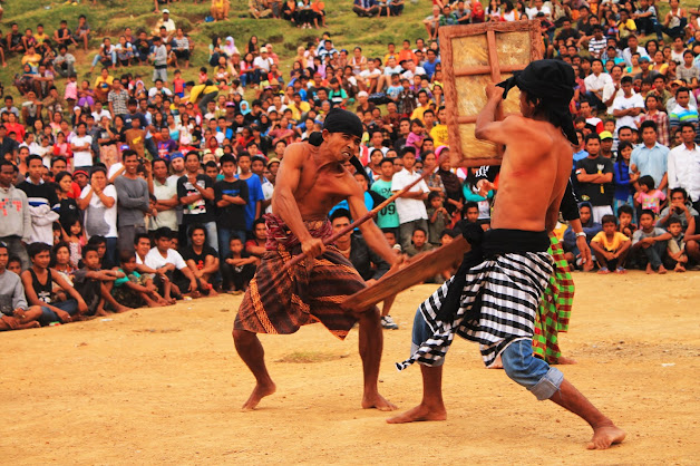 Info Wisata Atraksi Presean Lombok Info Wisata Atraksi Presean Lombok