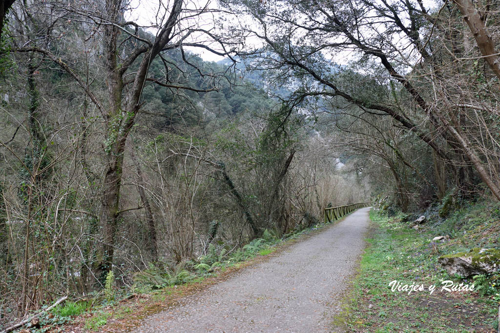 Senda del oso, Asturias