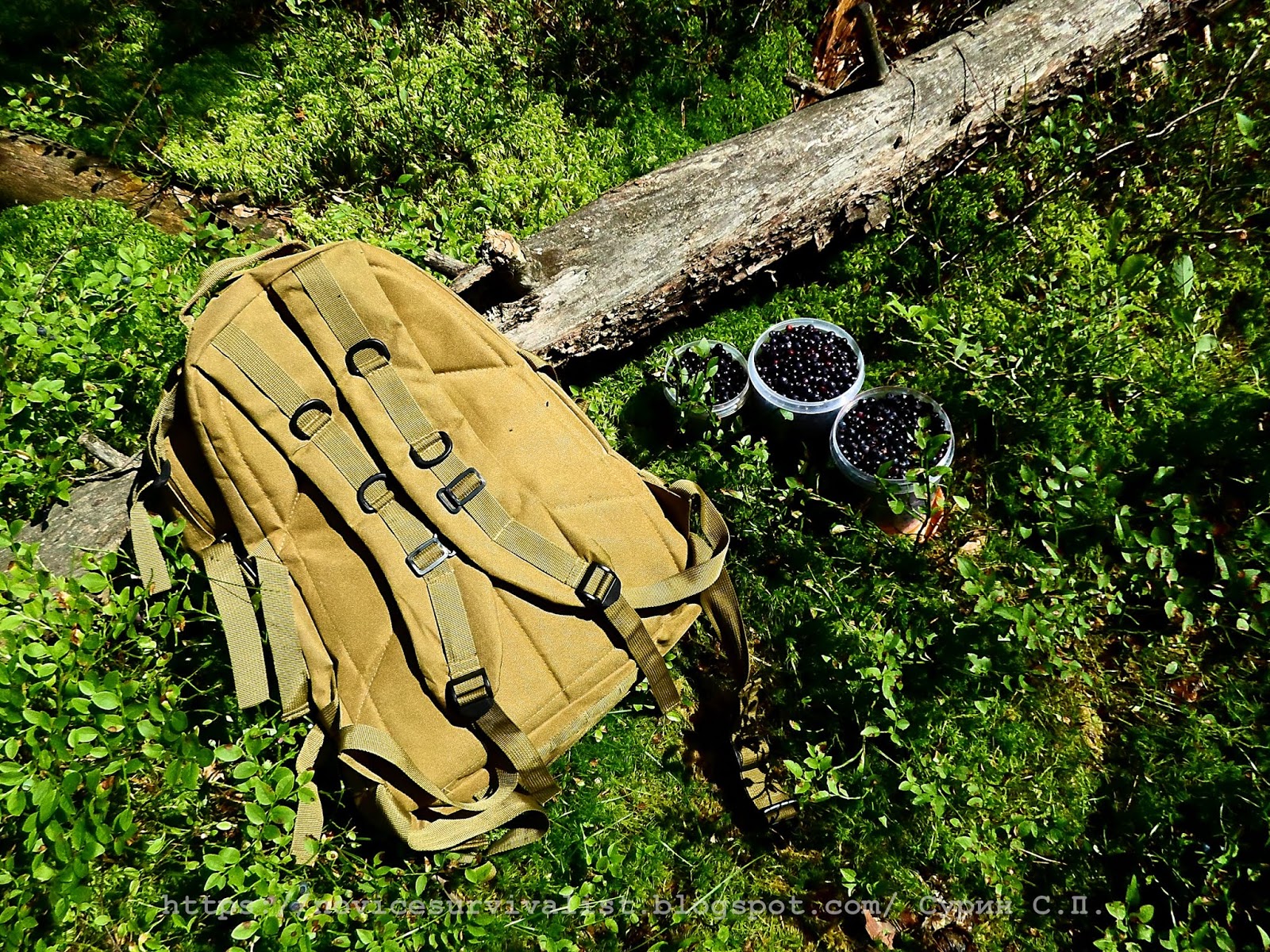 выживальщик 8 читать. выживальщик 8 читать. фильм мамкин выживальщик. путешественник выживальщик крис маккендлес. походная снаряга.