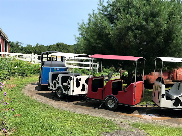 Let's Visit Brookhollow's Barnyard in Boonton Township, NJ! | The