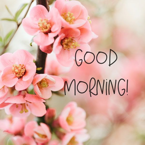 good morning sms with love