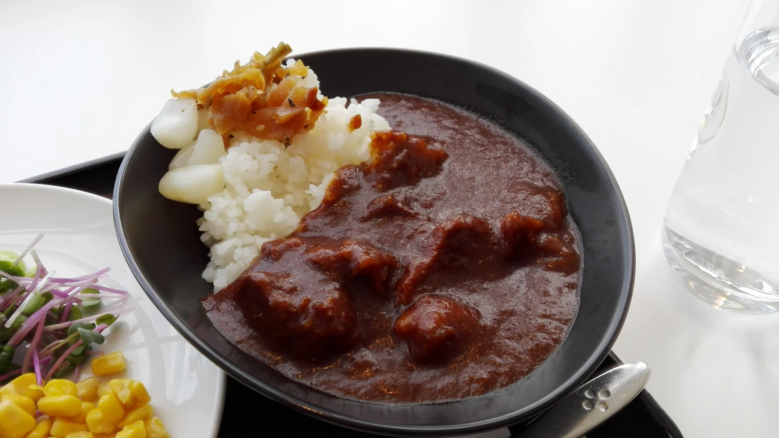 JAL Beef curry and rice